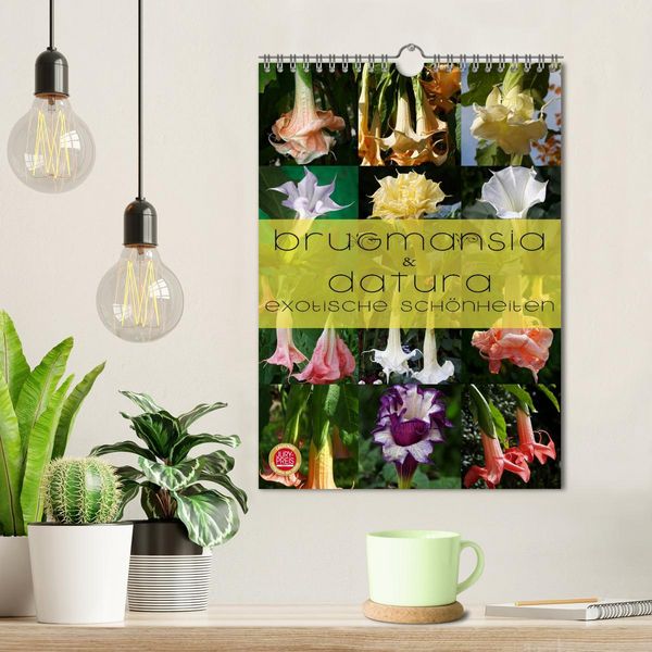Produktbild: Brugmansia & Datura - Exotische Sch&ouml;nheiten (Wandkalender 2026 DIN A4 hoch), CALVENDO Monatskalender