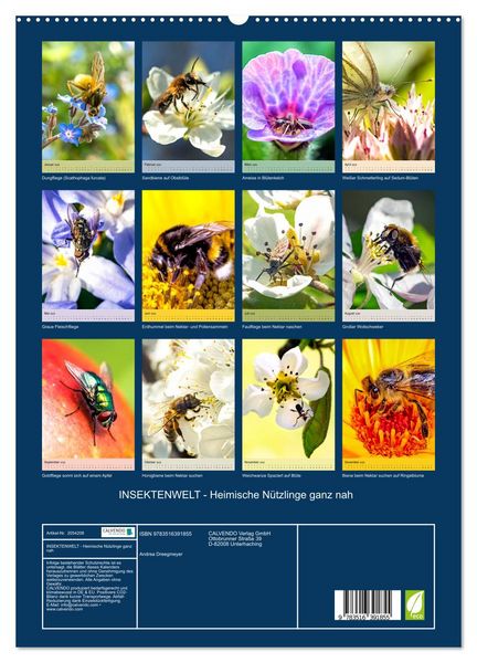 Produktbild: INSEKTENWELT - Heimische N&uuml;tzlinge ganz nah (hochwertiger Premium Wandkalender 2026 DIN A2 hoch), Kunstdruck in Hochglanz