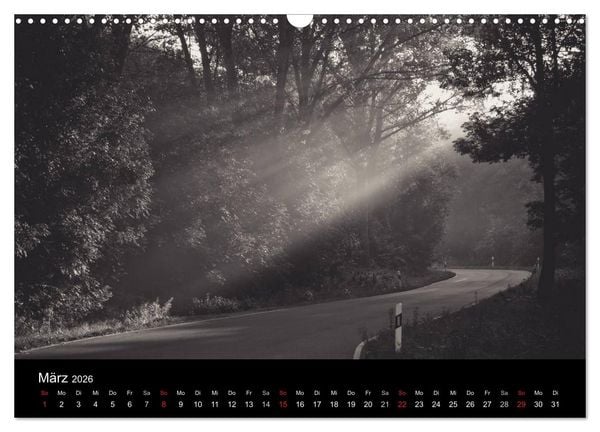 Produktbild: B&auml;ume trees 2026 (Wandkalender 2026 DIN A3 quer), CALVENDO Monatskalender
