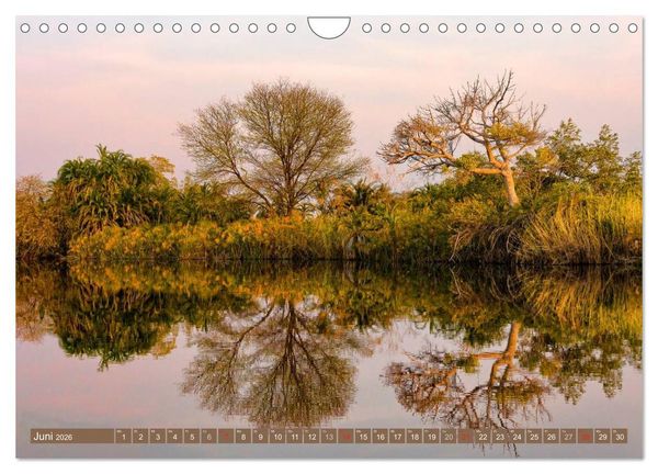Produktbild: Afrikas B&auml;ume (Wandkalender 2026 DIN A4 quer), CALVENDO Monatskalender