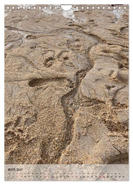Produktbild: Plages et coquillages (Calendrier mural 2027 DIN A4 horizontal), CALVENDO calendrier mensuel