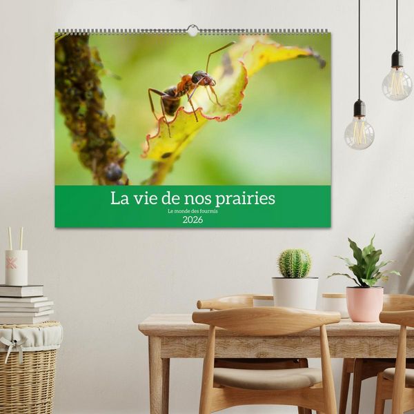 Produktbild: La vie de nos prairies - Le monde des fourmis (Calendrier mural 2026 DIN A2 vertical), CALVENDO calendrier mensuel