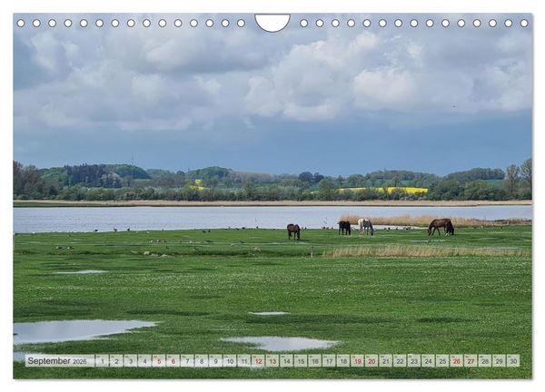 Produktbild: Timmendorfer Strand und Umgebung (Wandkalender 2026 DIN A4 quer), CALVENDO Monatskalender
