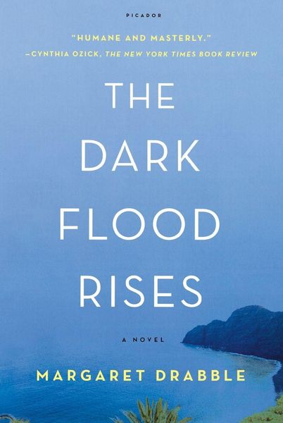Produktbild: Dark Flood Rises