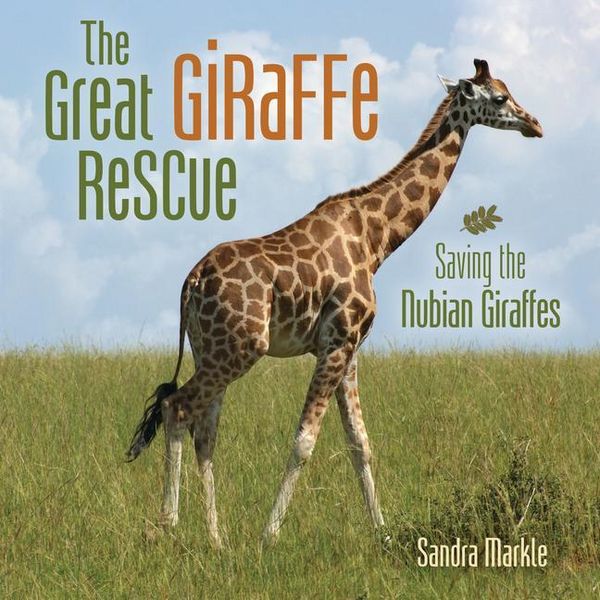 Produktbild: The Great Giraffe Rescue