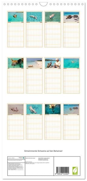 Produktbild: Familienplaner 2026 - Schwimmende Schweine auf den Bahamas! mit 5 Spalten (Wandkalender, 21 x 45 cm) CALVENDO