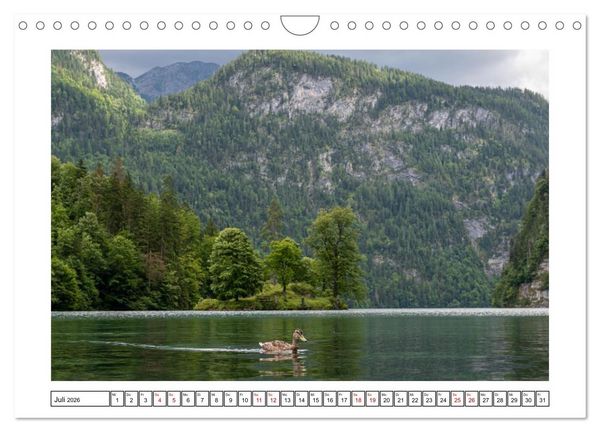 Produktbild: Morgen am K&ouml;nigssee - Spiegelungen und Stille (Wandkalender 2026 DIN A4 quer), CALVENDO Monatskalender