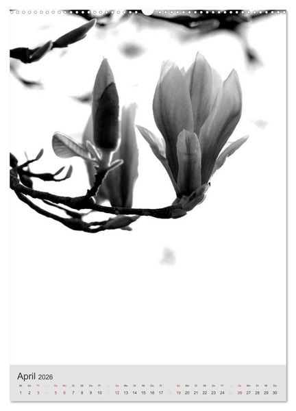 Produktbild: Monochrome Bl&uuml;ten - In Schwarz-Wei&szlig; Bildern durch das Jahr (hochwertiger Premium Wandkalender 2026 DIN A2 hoch), Kunstdruck in Hochglanz