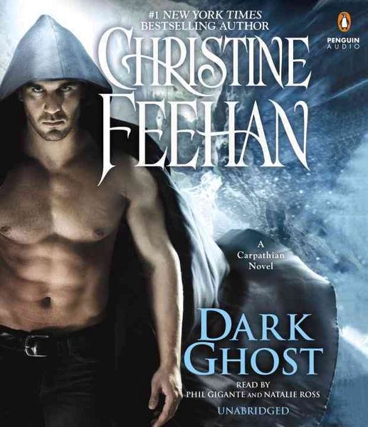 Produktbild: DARK GHOST                 11D