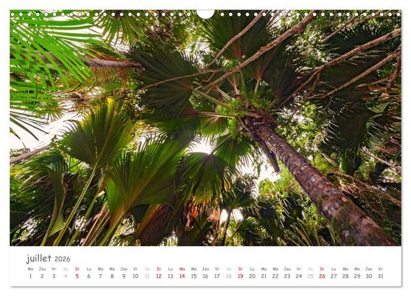 Produktbild: Paysages des Seychelles (Calendrier mural 2026 DIN A3 vertical), CALVENDO calendrier mensuel