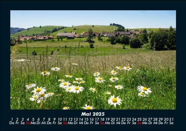 Produktbild: Blumenkalender 2025 Fotokalender DIN A5