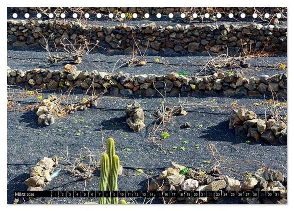 Produktbild: Vulkaninsel Lanzarote (Tischkalender 2026 DIN A5 quer), CALVENDO Monatskalender
