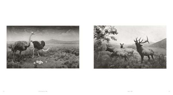 Produktbild: Hiroshi Sugimoto