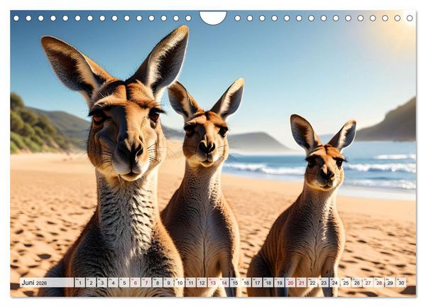 Produktbild: Die Welt der K&auml;ngurus (Wandkalender 2026 DIN A4 quer), CALVENDO Monatskalender