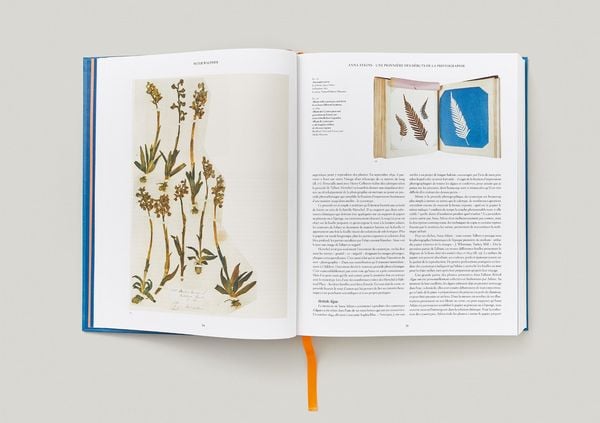 Produktbild: Anna Atkins. Cyanotypes