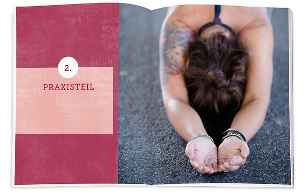 Produktbild: Das HandHeilbuch