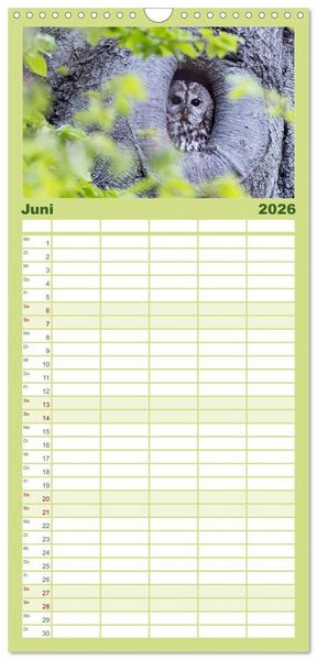 Produktbild: Familienplaner 2026 - Magie Heimische Natur mit 5 Spalten (Wandkalender, 21 x 45 cm) CALVENDO