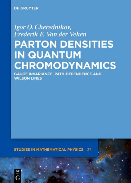 Produktbild: Parton Densities in Quantum Chromodynamics