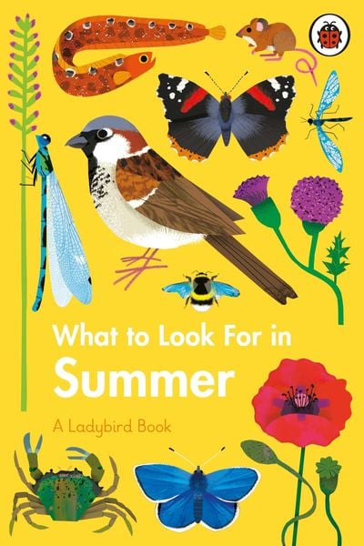Produktbild: What to Look For in Summer