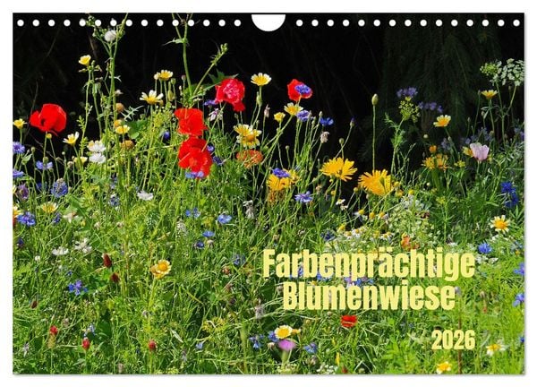 Farbenprächtige Blumenwiese (Wandkalender 2026 DIN A4 quer), CALVENDO Monatskalender