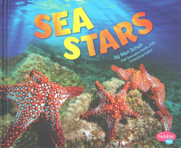 Produktbild: Sea Stars