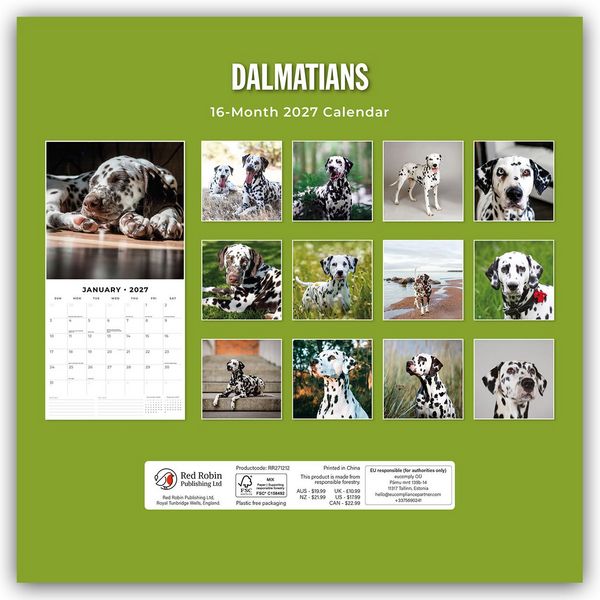 Produktbild: Dalmatians &ndash; Dalmatiner 2027 &ndash; 16-Monatskalender
