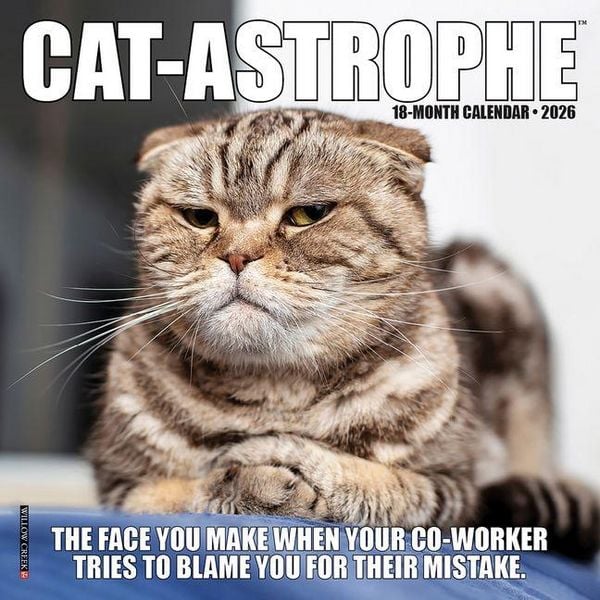 Produktbild: Cat-Astrophe 2026 Mini Wall Calendar