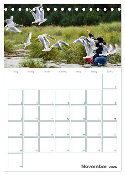 Produktbild: Ostseebad Prerow - Dar&szlig;er Momente - Terminplaner (Tischkalender 2026 DIN A5 hoch), CALVENDO Monatskalender
