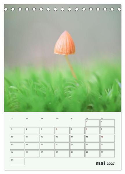 Produktbild: Champignons magiques - Beaut&eacute;s &eacute;ph&eacute;m&egrave;res (Calendrier de bureau 2027 DIN A5 horizontal), CALVENDO calendrier mensuel
