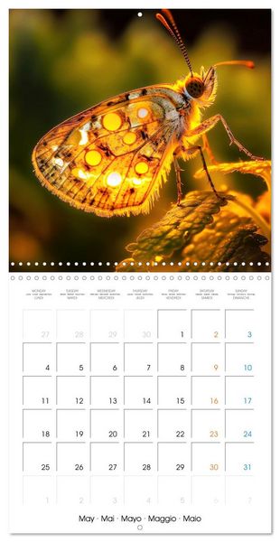 Produktbild: &Eacute;clats naturels (Calendrier mural carr&eacute; 2026 30x30 cm) Calendrier double avec une page pour vos prises de notes