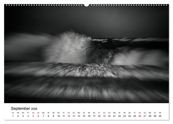 Produktbild: Sylt ... bewegt (hochwertiger Premium Wandkalender 2026 DIN A2 quer), Kunstdruck in Hochglanz