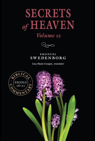 Produktbild: Secrets of Heaven Volume 12