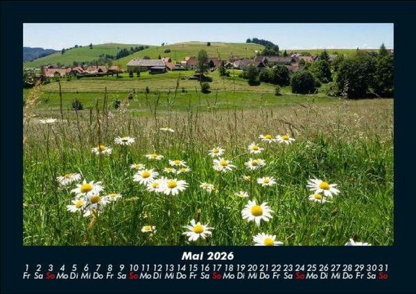 Produktbild: Blumentr&auml;ume 2026 Fotokalender DIN A5