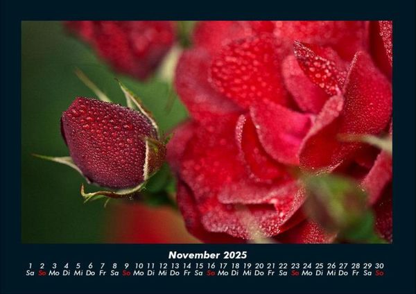 Produktbild: Blumenkalender 2025 Fotokalender DIN A4