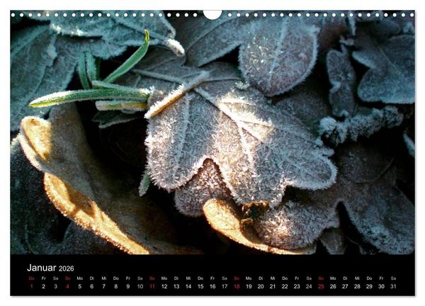 Produktbild: land und leben (Wandkalender 2026 DIN A3 quer), CALVENDO Monatskalender