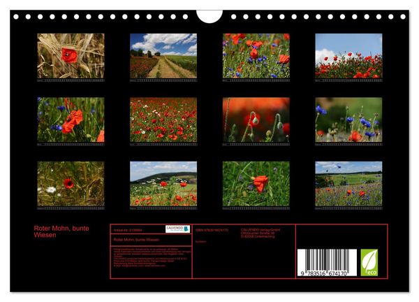 Produktbild: Roter Mohn, bunte Wiesen (Wandkalender 2026 DIN A4 quer), CALVENDO Monatskalender