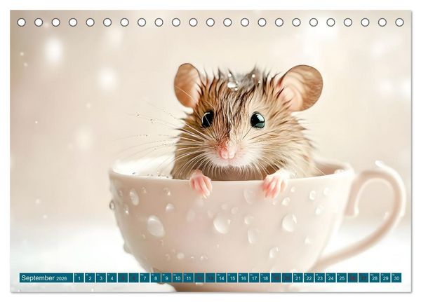 Produktbild: Plitsch, Platsch, tierisch nass (Tischkalender 2026 DIN A5 quer), CALVENDO Monatskalender