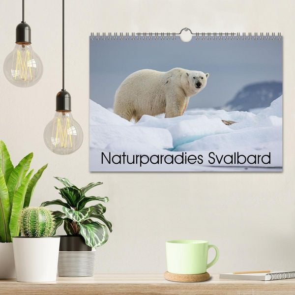 Produktbild: Naturparadies Svalbard (Wandkalender 2026 DIN A4 quer), CALVENDO Monatskalender
