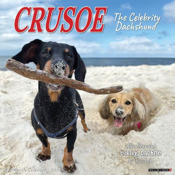 Produktbild: Crusoe the Celebrity Dachshund 2026 Wall Calendar
