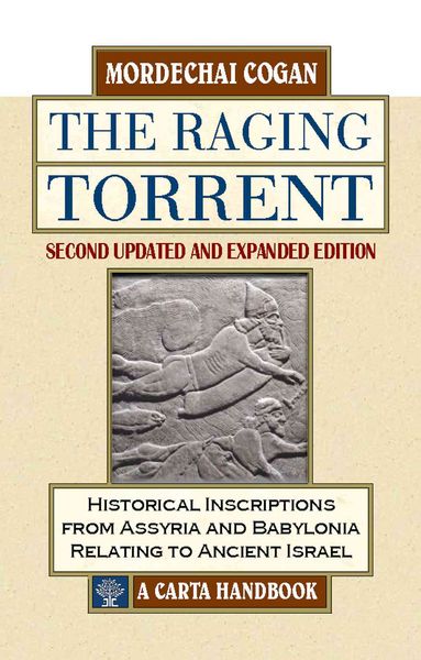 Produktbild: The Raging Torrent, Second Edition