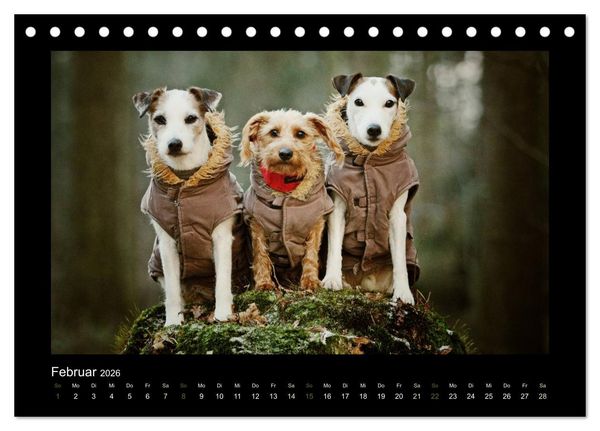 Produktbild: Die Parsons (Tischkalender 2026 DIN A5 quer), CALVENDO Monatskalender