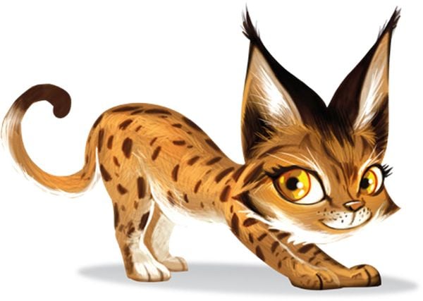 Produktbild: Zoo Run (Kinderspiel)