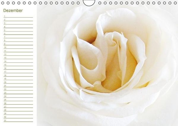 Produktbild: Bl&uuml;tentr&auml;ume - ganz in wei&szlig; / Geburtstagskalender (Wandkalender immerw&auml;hrend DIN A4 quer)