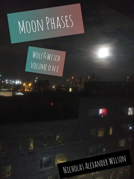 Produktbild: Moon Phases (Wolf&Witch, #1)