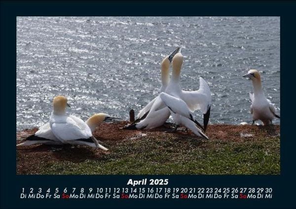 Produktbild: Seeblick 2025 Fotokalender DIN A5
