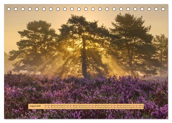 Produktbild: Magischer Pf&auml;lzer Wald (Tischkalender 2026 DIN A5 quer), CALVENDO Monatskalender