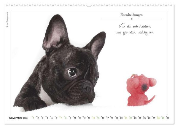 Produktbild: Hunde-Spruchreif (hochwertiger Premium Wandkalender 2026 DIN A2 quer), Kunstdruck in Hochglanz