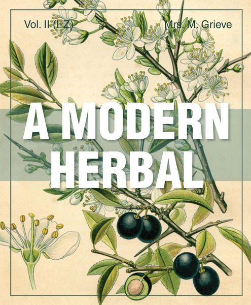 Produktbild: A Modern Herbal (Volume 2, I-Z and Indexes)