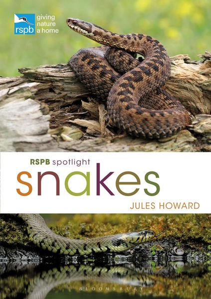 Produktbild: RSPB Spotlight Snakes