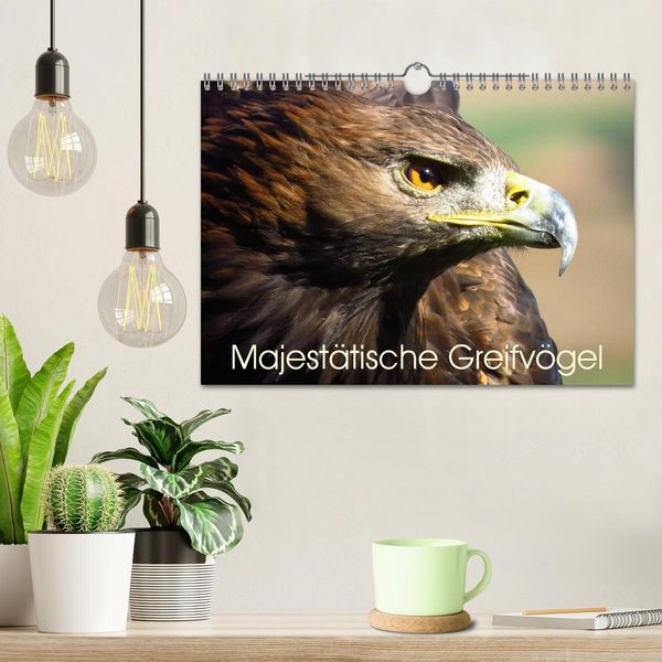Produktbild: Majest&auml;tische Greifv&ouml;gel (Wandkalender 2026 DIN A4 quer), CALVENDO Monatskalender